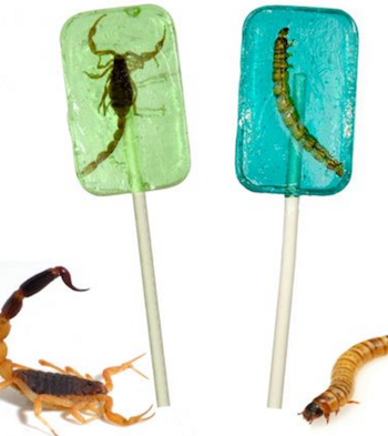 sucettes insectes